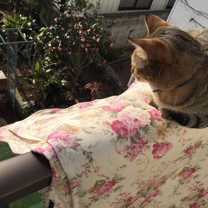 6666ccac ba44 4a29 823e 5b5a342f120d