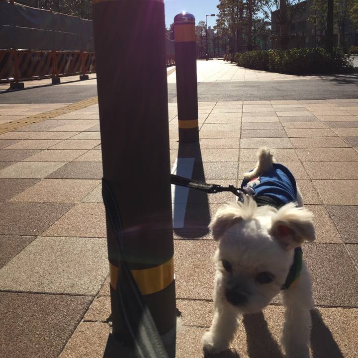 66671db9 48f4 48a9 818b 1eb61264cd50