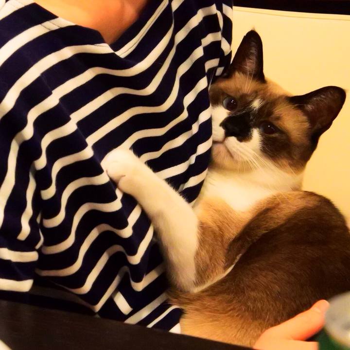 66683cd0 01ca 48b5 aa3c deaa3772e4da