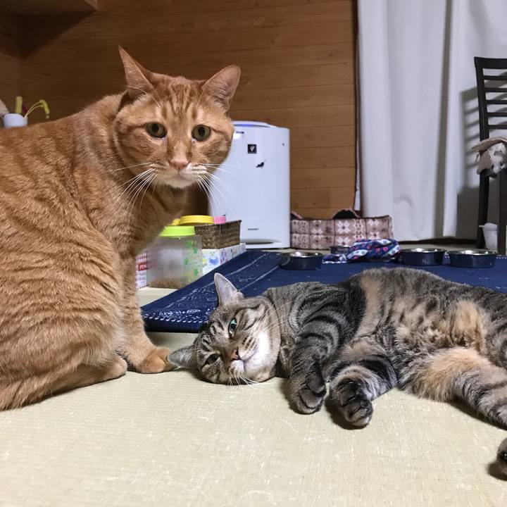 66691a4c 3cb5 42e6 b506 c3accd2aa515