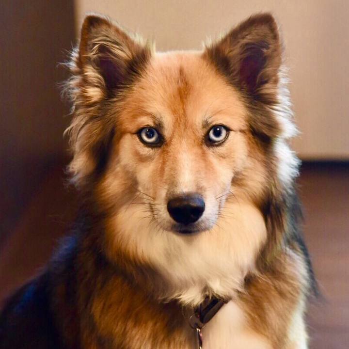 666946e9 221f 43ef 8d3f e6654d0f0ed4