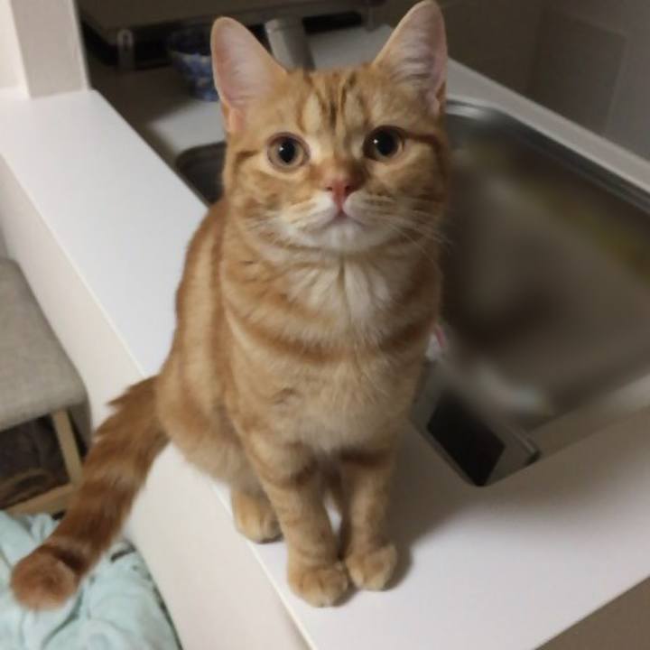 66696d2c 58c4 491f af57 49e137160053