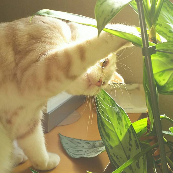 666973c3 5e54 43dc abdc b5ce6b33d05f