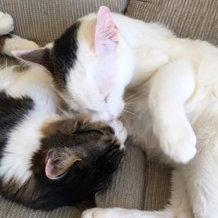 66697476 f1c1 40e2 8c64 6aecc6cd7df6