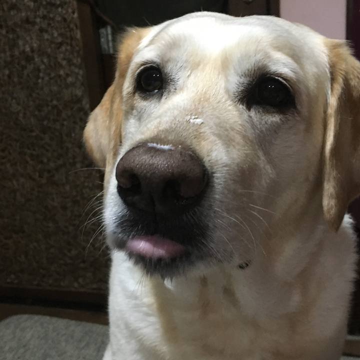 666a1c83 8b4d 4606 9a1e 7534dbb8db22