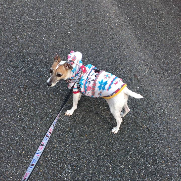 666a1d1d 6890 43ca 99d1 668f00c7430c