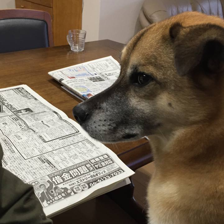 666a3718 c361 4603 94f9 6370bddde35d