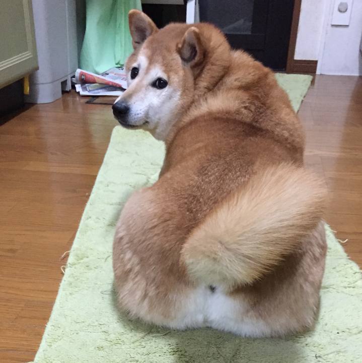 666a7be7 8015 44d2 a347 be5a4d4d9f87