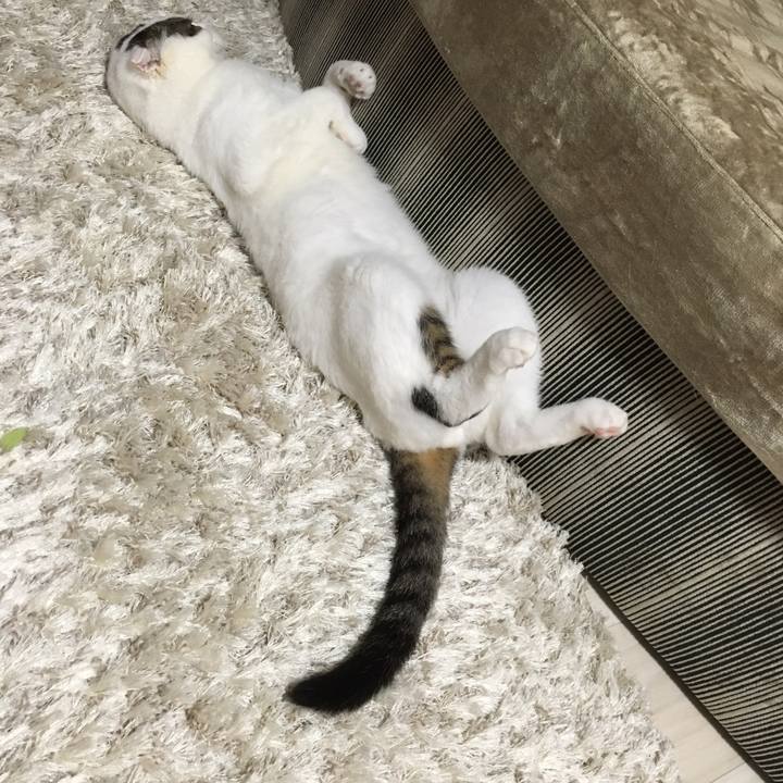 666aec8a db96 4f13 b887 05c6f25912b7