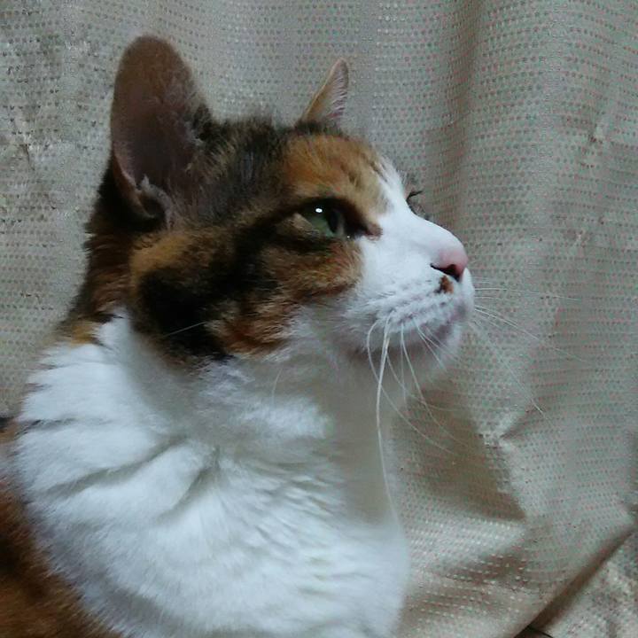 666b2575 368b 43ec ae60 5f53055d2913