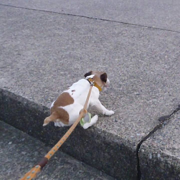 666ba9aa 8704 4d0a a81b a36183886ac7