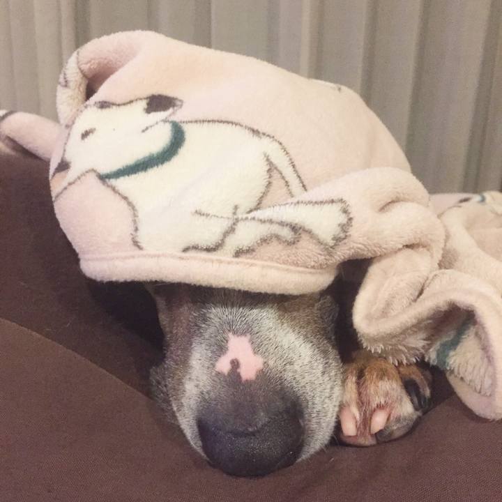 666bbebe f5b0 4dee a4eb 1b64f33bae4f