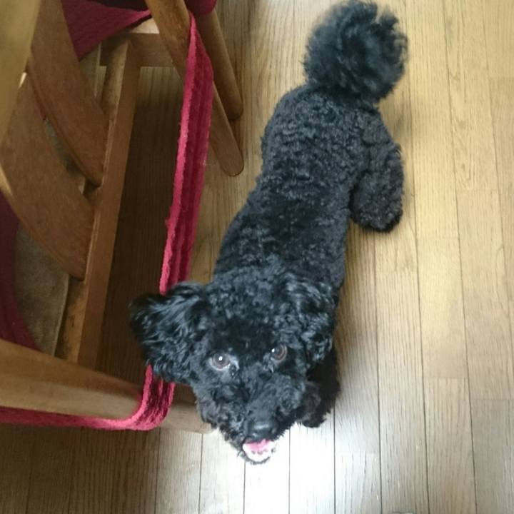 666c20bc 676b 42a3 be41 7a82cb066035