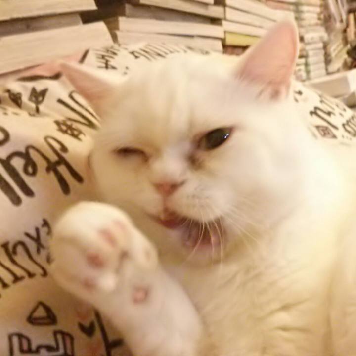 666c8478 9659 45b3 8094 f40d8ee2d6ca