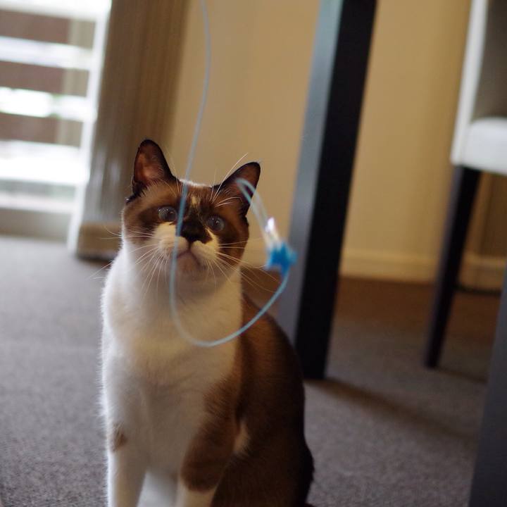 666cd402 889b 4804 ae71 9ace0e610bb1