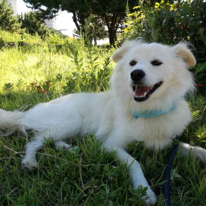 666cdb88 a364 4317 a21c 74c0d5698058