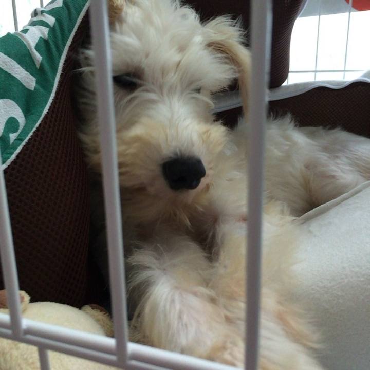 666ce3ce c58d 4f45 8293 aea56ac2f84e