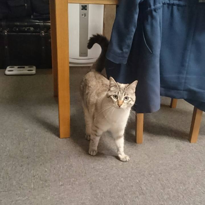 666df413 23ab 4825 9baa 1ac9958f9792