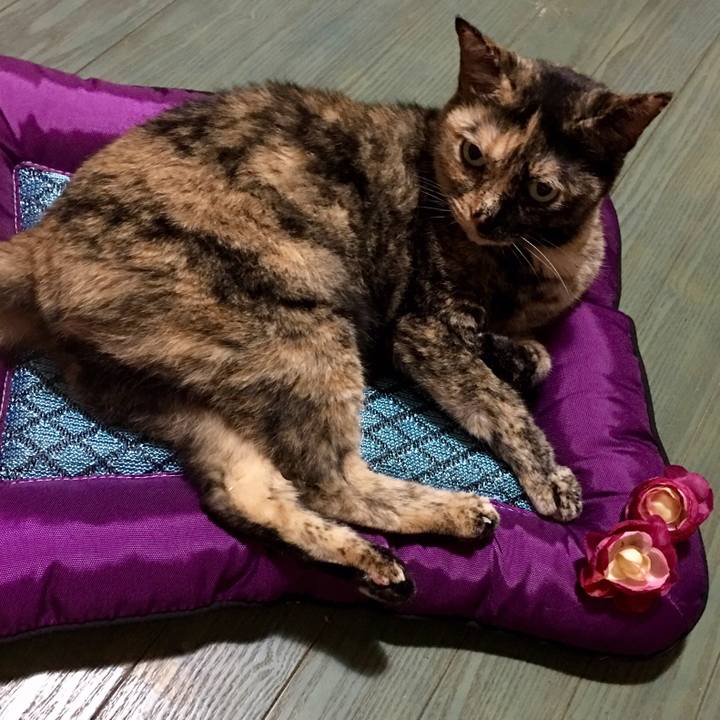 666df60a c934 4982 9e9e c023dc1efde6