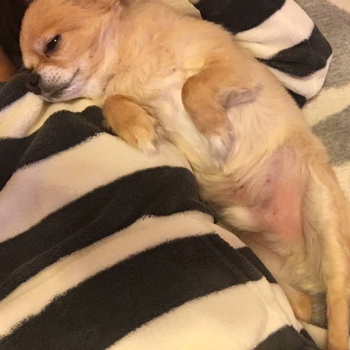 666e1056 2392 404e b32b 7719201811c7