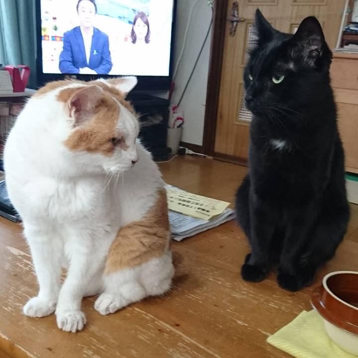 666e1ca6 393e 4dc0 a1a4 cb7b52145ac2