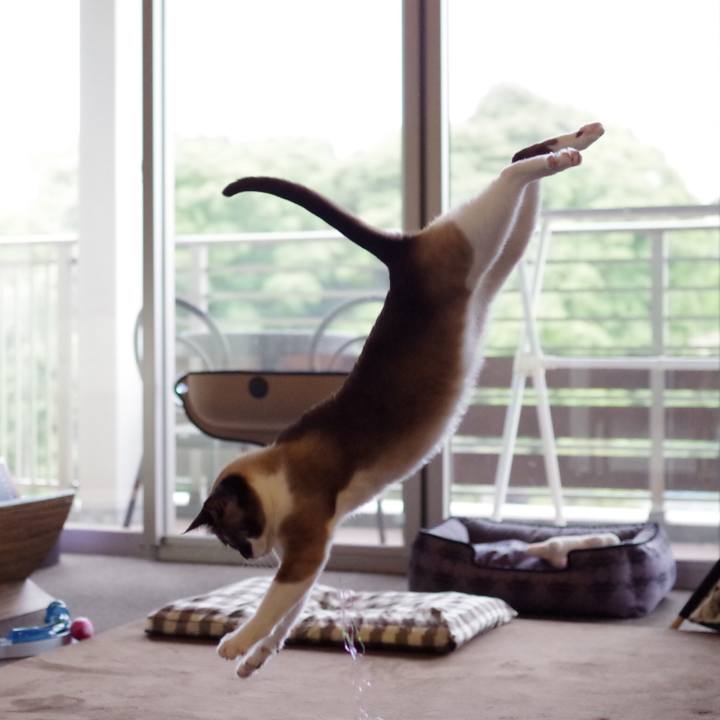 666e9a66 75ef 4e9b 93ec 4bdeb1d87f56