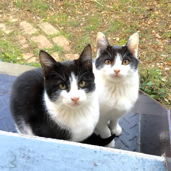 666eede4 0388 4850 90e3 d4994aa03e8c