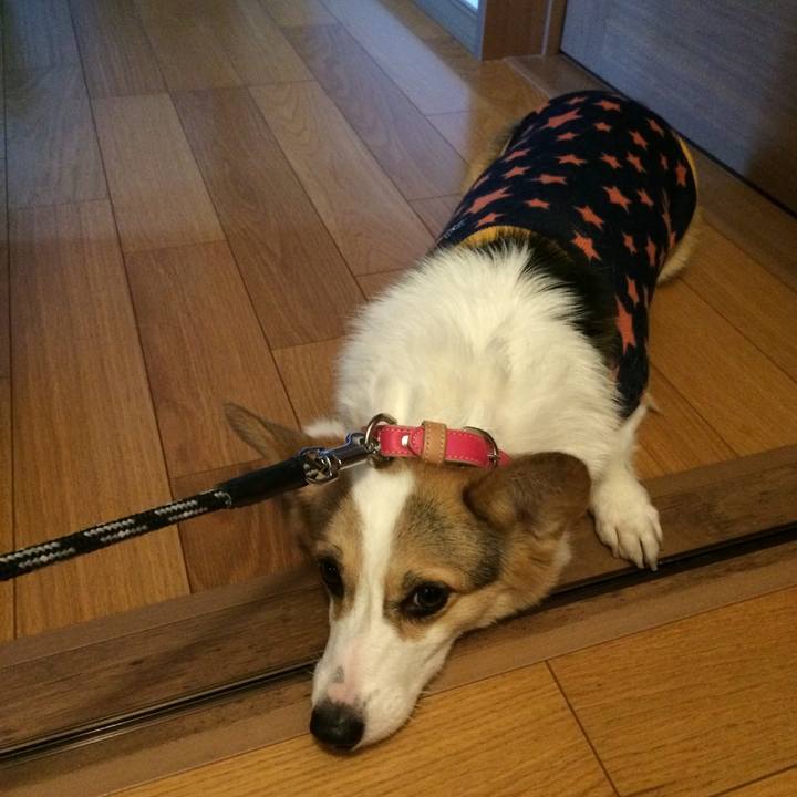 666ef029 eb56 4f9f 97c2 a7315aead45f