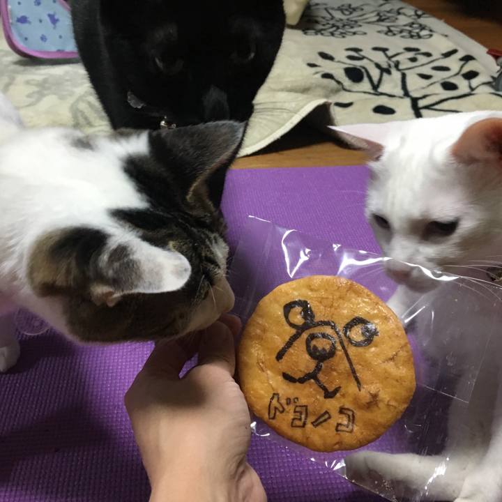 666f222a 0511 48e8 b06d 25e57dec2bb7