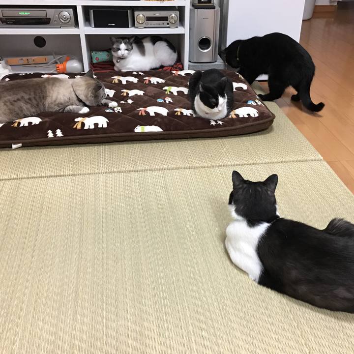 666ff772 7c04 4f74 a255 d91dae182aeb