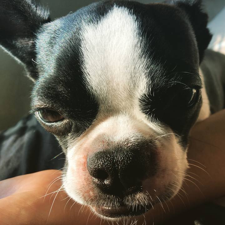 667120fe 115f 4dde 81e8 621f5aa22bba