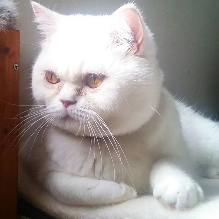 66716688 f84c 41bb a995 f2f371dee73c