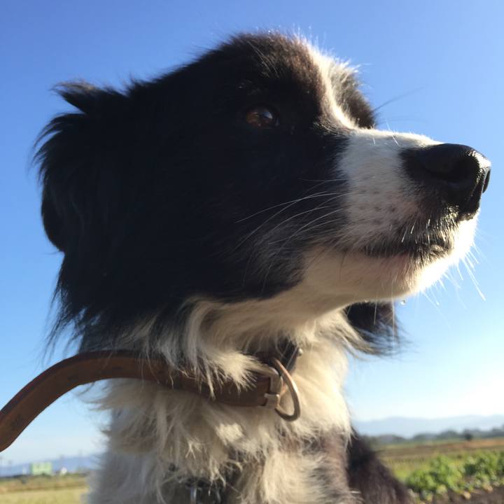 66718482 47b1 495f a183 8645fa3ab8c0