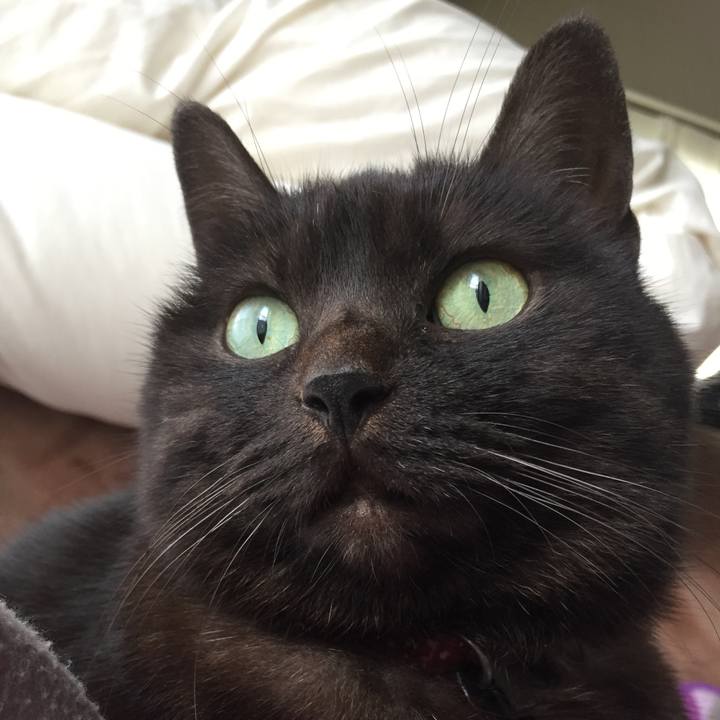 6671b2e8 95af 465d 87fd 060e179489b2