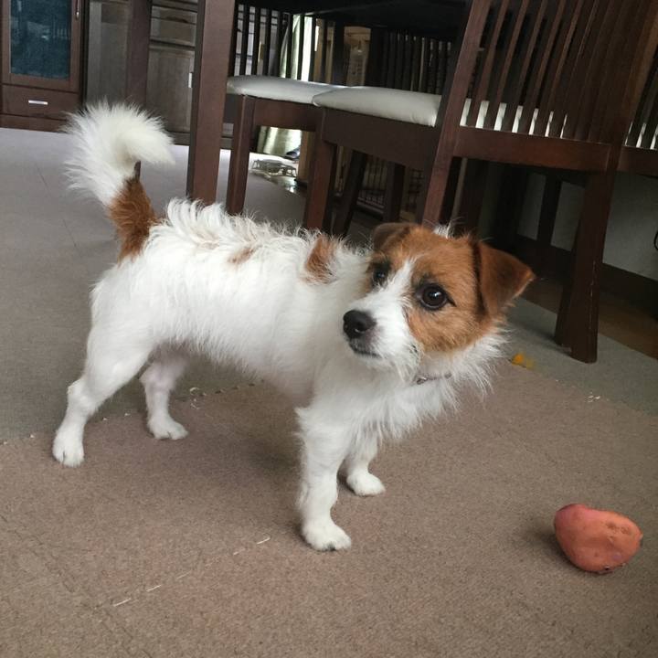 6671d1b8 166c 4a7c 999d 0833a0210c56