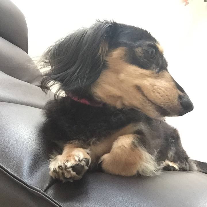 667239ce 28cc 4cf3 9ca2 13545d82ca84