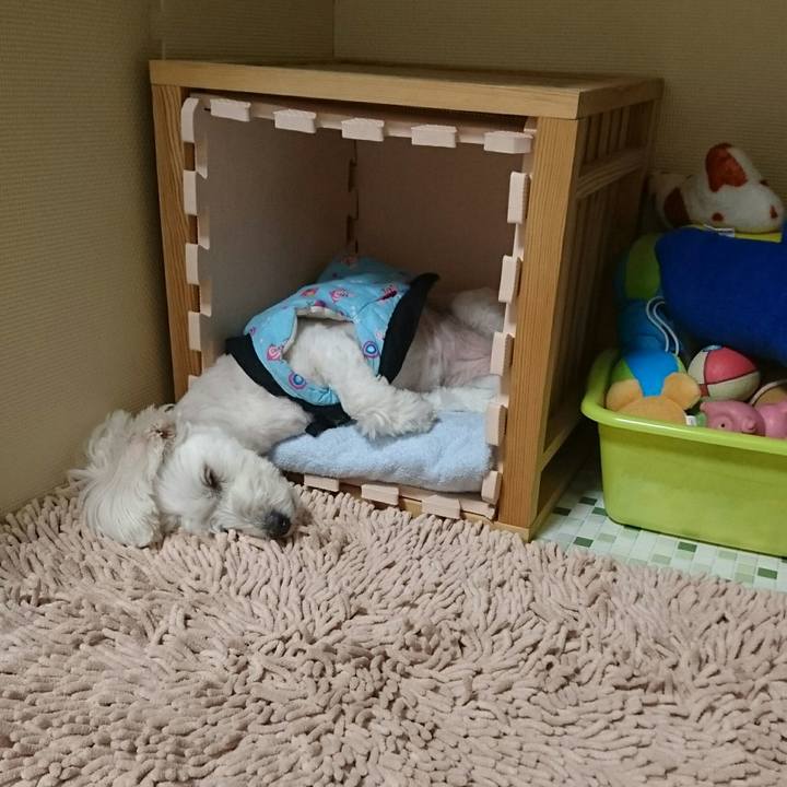 667247a6 65e2 42f7 bce2 a335cd82fe3a