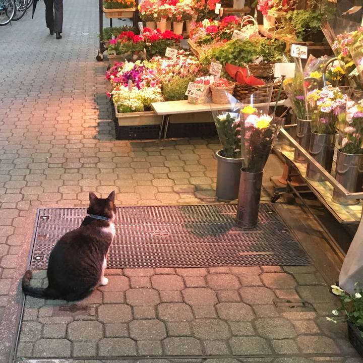 667274e6 799f 4e21 b4c7 af30c61a4924