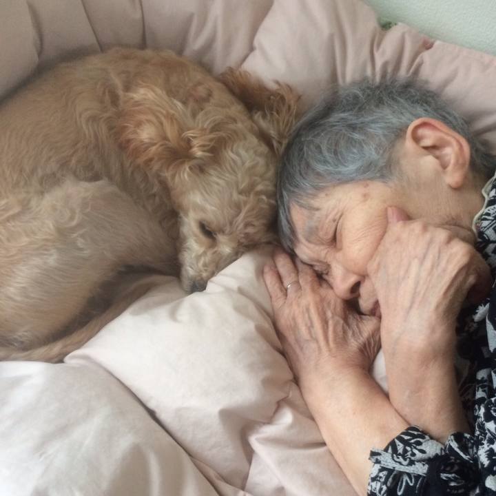 66727996 ee69 4449 b241 5bfecb2223a6