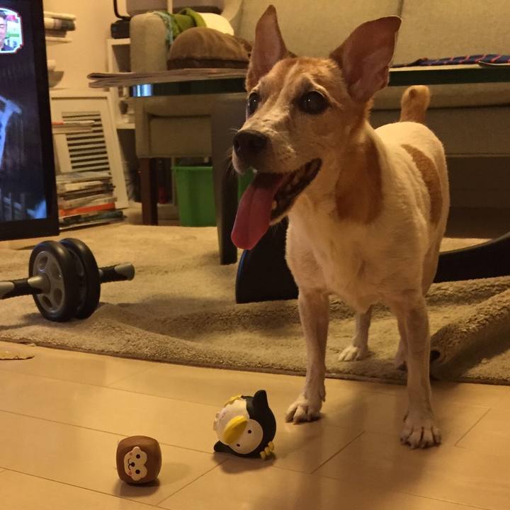 6672d021 0296 411e bd5f 2d089aaa47ed