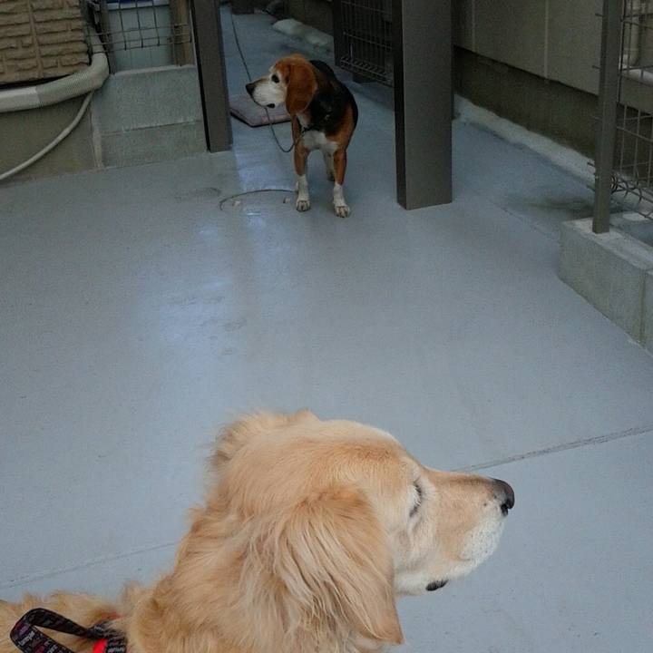 66739a27 545f 478a a93b 3b008382736f