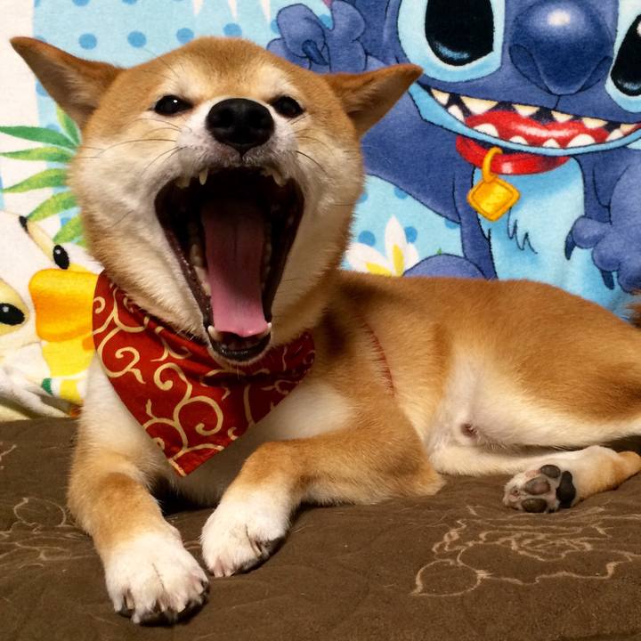 6673b33e 95b2 40a2 8770 21c6917f06c0