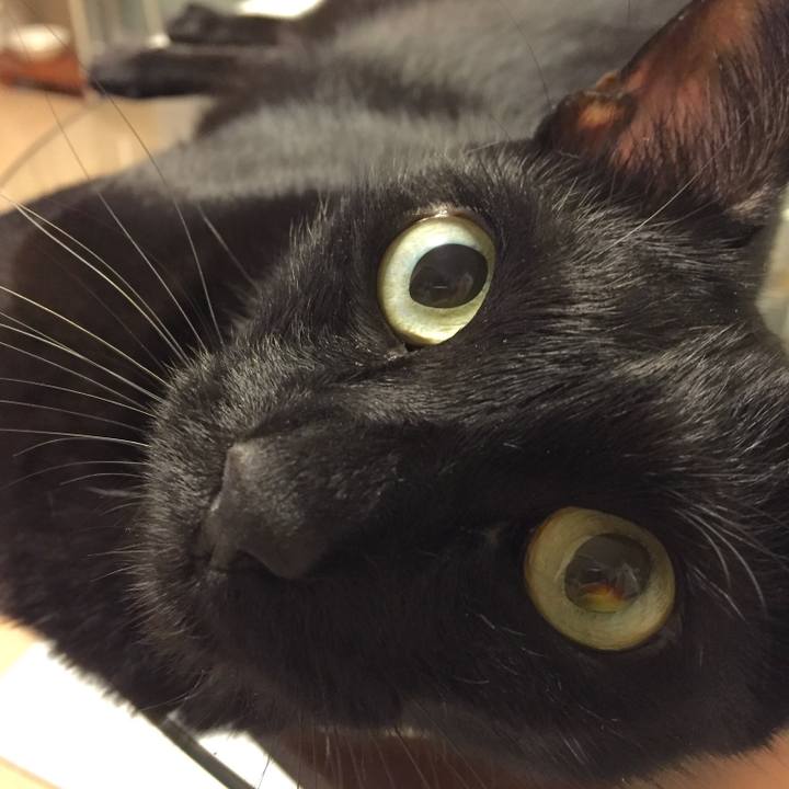 66741d50 5e28 4177 8204 b68f4e1136ed