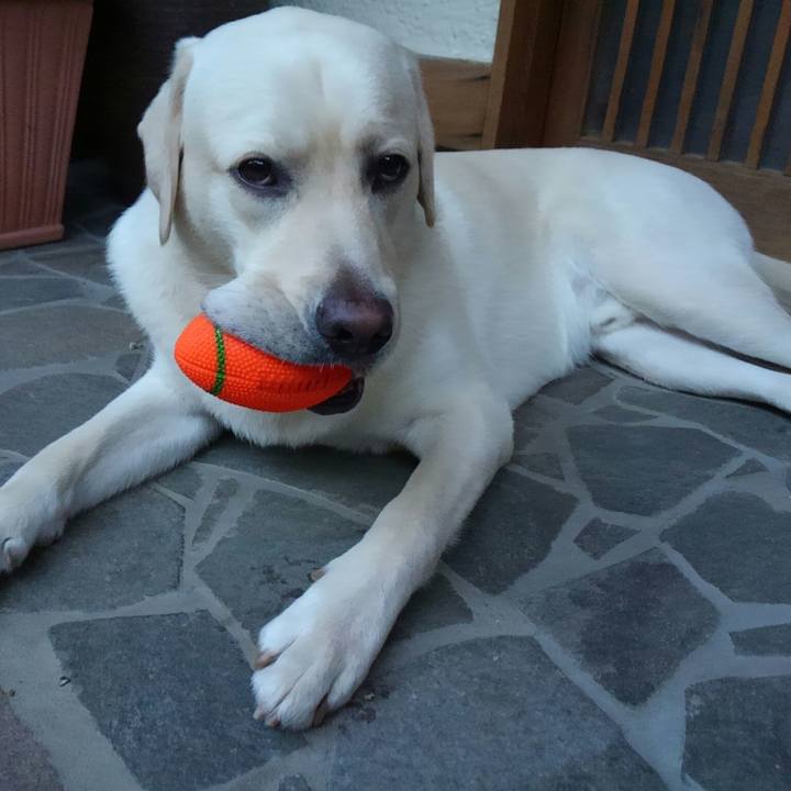 66749e2a 652f 4268 8be4 16daf92efeb7