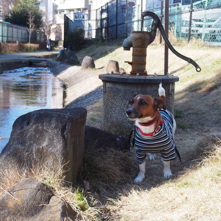 6674acda 75d7 4815 a594 f818f69d7352