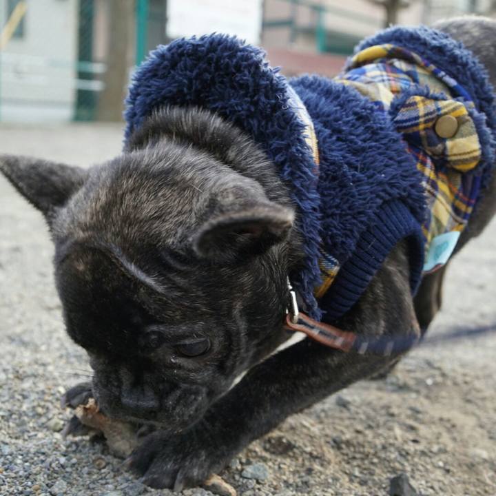 66750fd6 c88f 4a4f 9419 5e457c1d344f