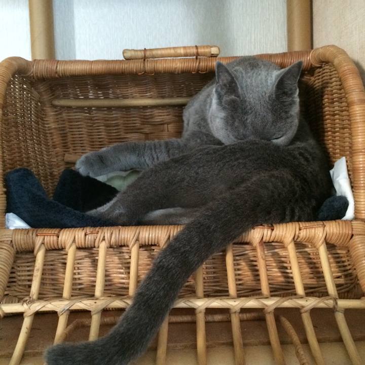 6675368d f29f 4456 8bb0 49b6e98ba86a