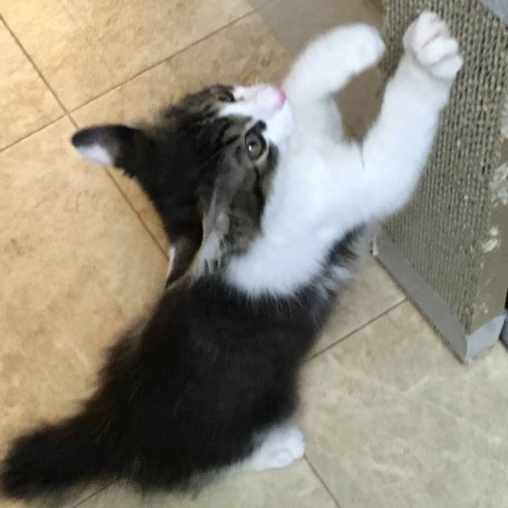 66758e33 9bc0 4392 8431 9103cde80d9a