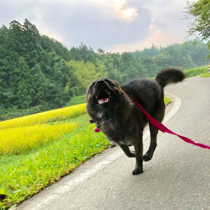 6675b055 7ae8 4249 a139 93a769b483ab