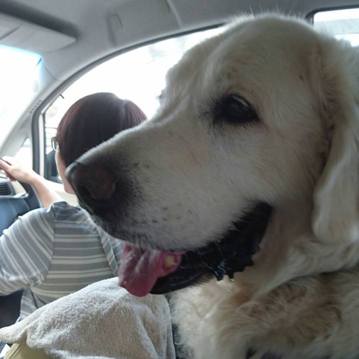 6675b96d e960 46d2 93ad 189aff9ee96b